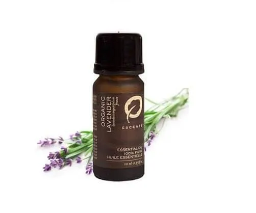 Organic Lavender