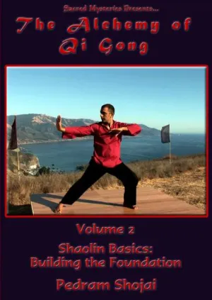 The Alchemy of Qi Gong 2 DVD